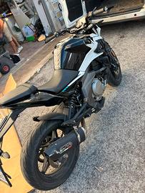 650 nk CF MOTO (incidentata)