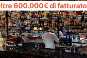 Fatturato oltre 600.000 annui