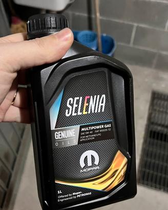 Olio selenia multipower Gas