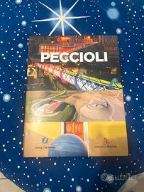 Libro sulla città di Peccioli