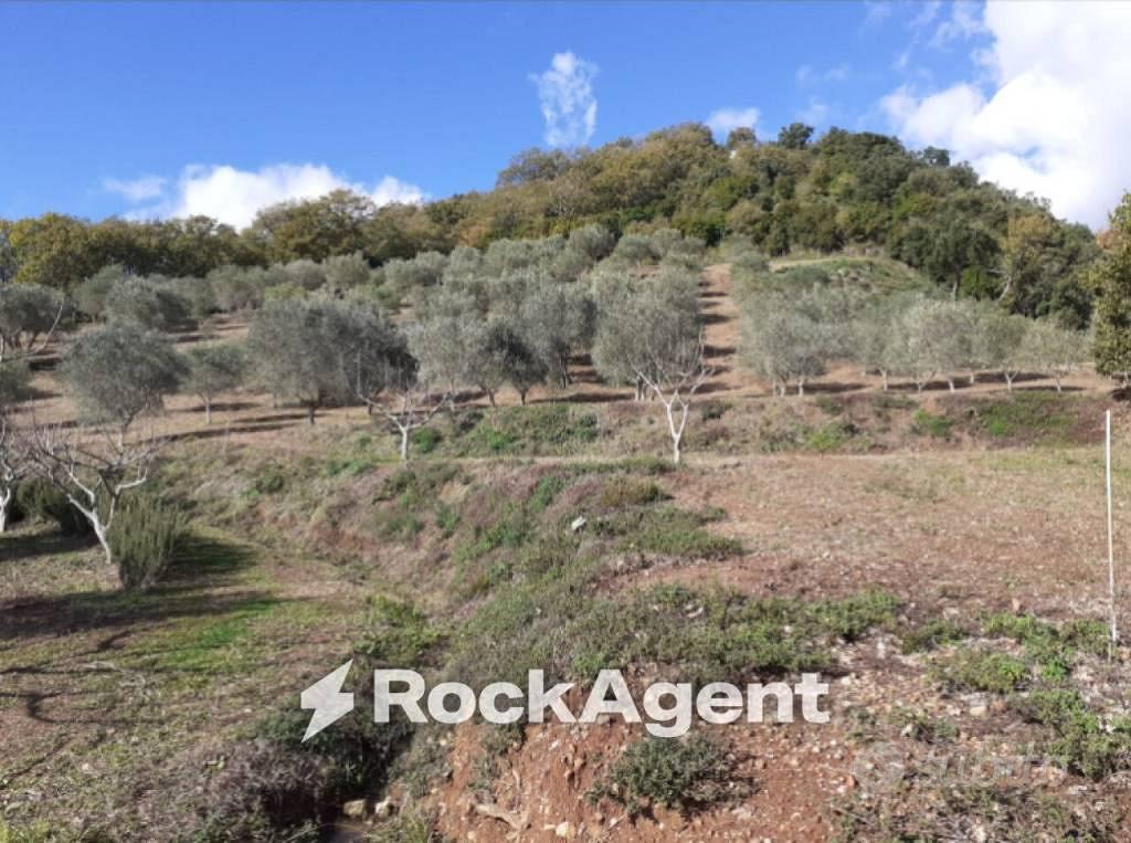 Terreno di 23500 m² a Marcellinara - Vista 4