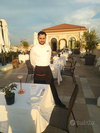 Cameriere professionista