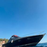 Fiart 31