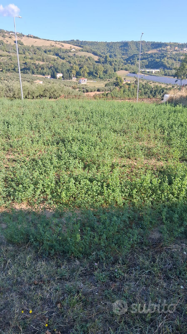 Terreno edificabile - Vista 3