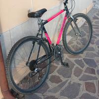 montain bike vintage