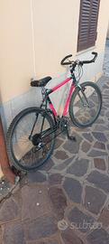 montain bike vintage