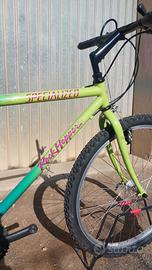 mtb specialized rockhopper 