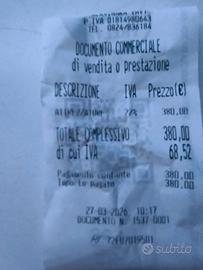 taglia erba Active  