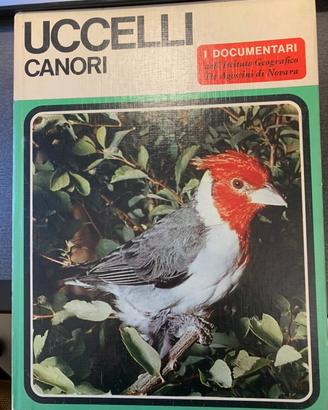 Uccelli Canori