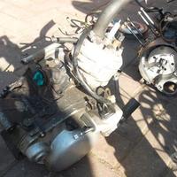 HM 50 2010 : motore 257E , statore volano