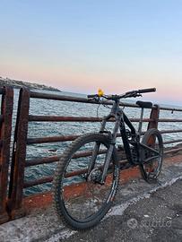 bici propain SPINDRIFT