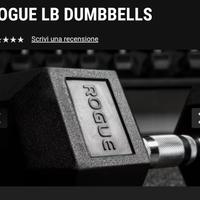 ROGUE FITNESS COPPIA DUMBBELLS 35-37,5-40-45 kg