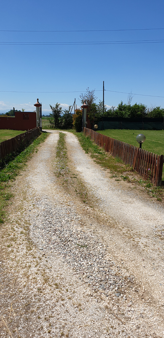 Capannone agricolo - Vista 5