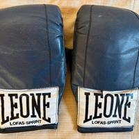 Guantoni boxe
