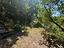 Immagine 29