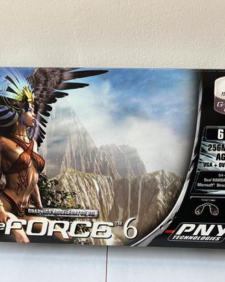 Scheda Video PNY GeForce 6