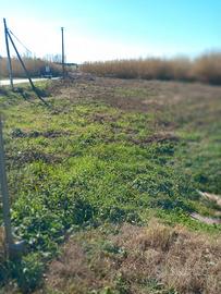 TERRENO A 3 KM DA VITERBO