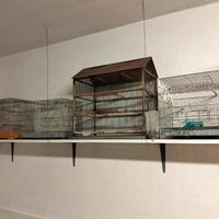 Lotto di gabbie per uccellini 