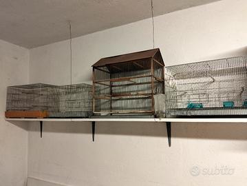 Lotto di gabbie per uccellini 