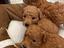 Immagine 6