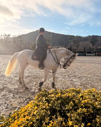 Cavalla italiana 9 anni salto