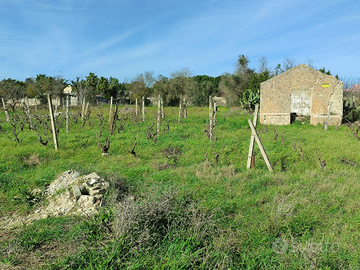 Annuncio di un appezzamento