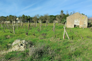 Annuncio di un appezzamento