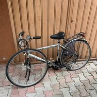 Bici Torpado Sport touring Majesty