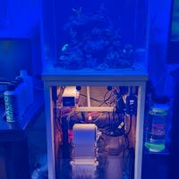 Acquario Marino 45x45