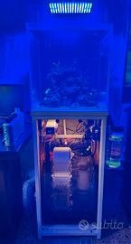 Acquario Marino 45x45