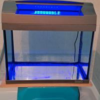 acquario Tetra 20 litri