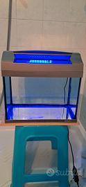 acquario Tetra 20 litri
