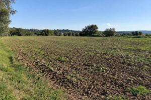 Terreno edificabile - Scarlino