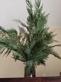 15 Rami di Leylandii