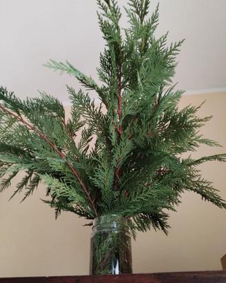 15 Rami di Leylandii