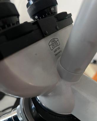 Microscopio carl zeiss standard- West Germany