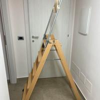 Scala La Scaletta Foppa Pedretti