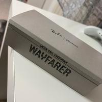 RayBan Meta Wayfarer