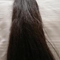 Coda di capelli
