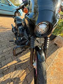 Softail street bob
