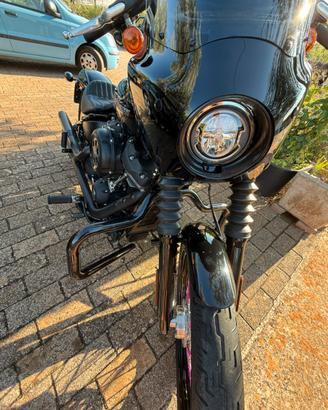 Softail street bob