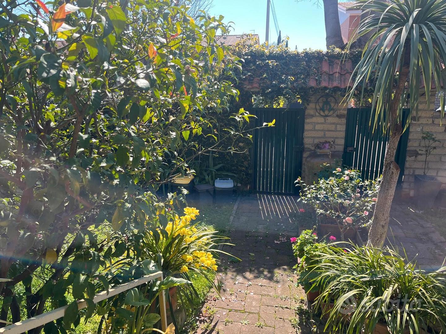Casa – Roma, Acilia Nord - Altro