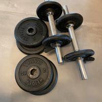 Manubri per palestra