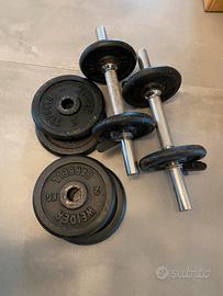 Manubri per palestra