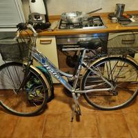 bicicletta donna 