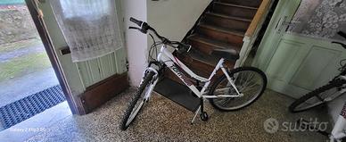 bicicletta