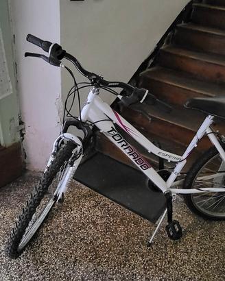 bicicletta