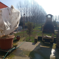 Casa bifamiliare più rustico cortile e giardino