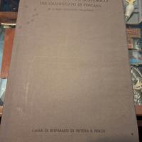 Atlante storico del granducato di toscana