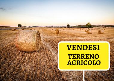 Terreno agricolo_ Orto Frutteto Recintato